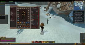 En pleine partie sur Everquest