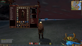 En pleine partie sur Everquest