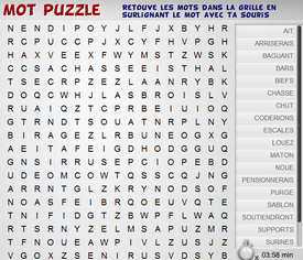Jeu mot puzzle de TresorKado.com